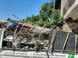 Best Residential Junk Removal  in Lake St Croix Beach, MN